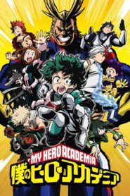 Boku no Hero Academia: Final Season Watch Anime